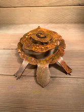 Load image into Gallery viewer, Turtle - Spiral