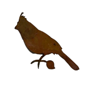 Cardinal