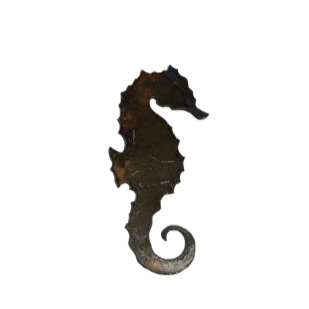 Seahorse