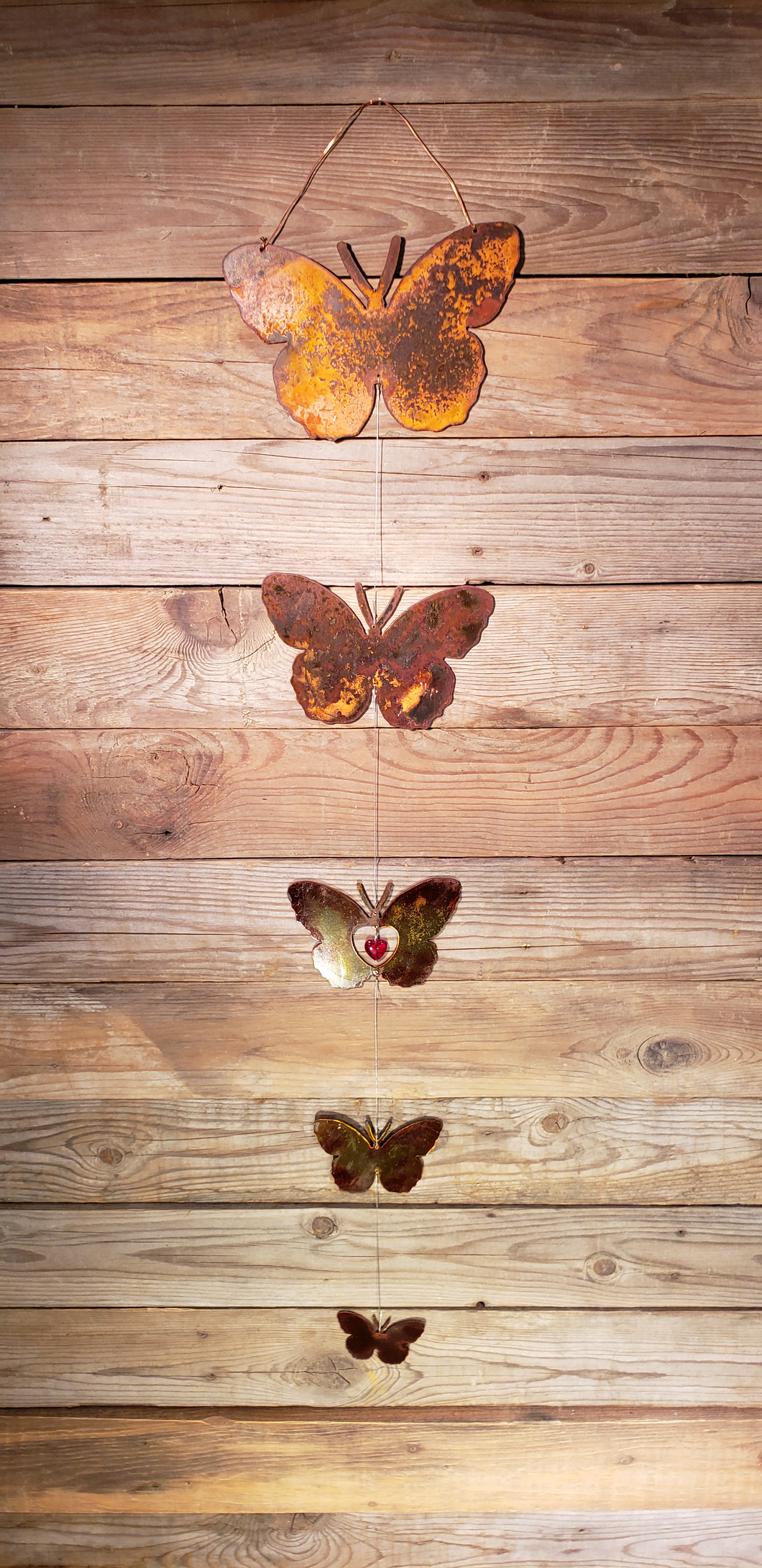 Butterfly - Kite Tail