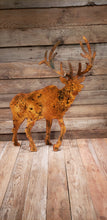 Load image into Gallery viewer, Elk - Stand Alone
