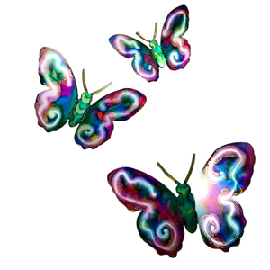 Butterfly's Hand Painted