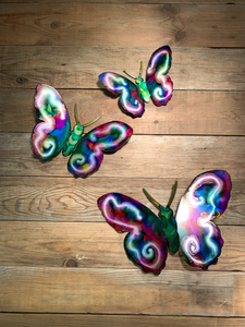Butterfly's Hand Painted