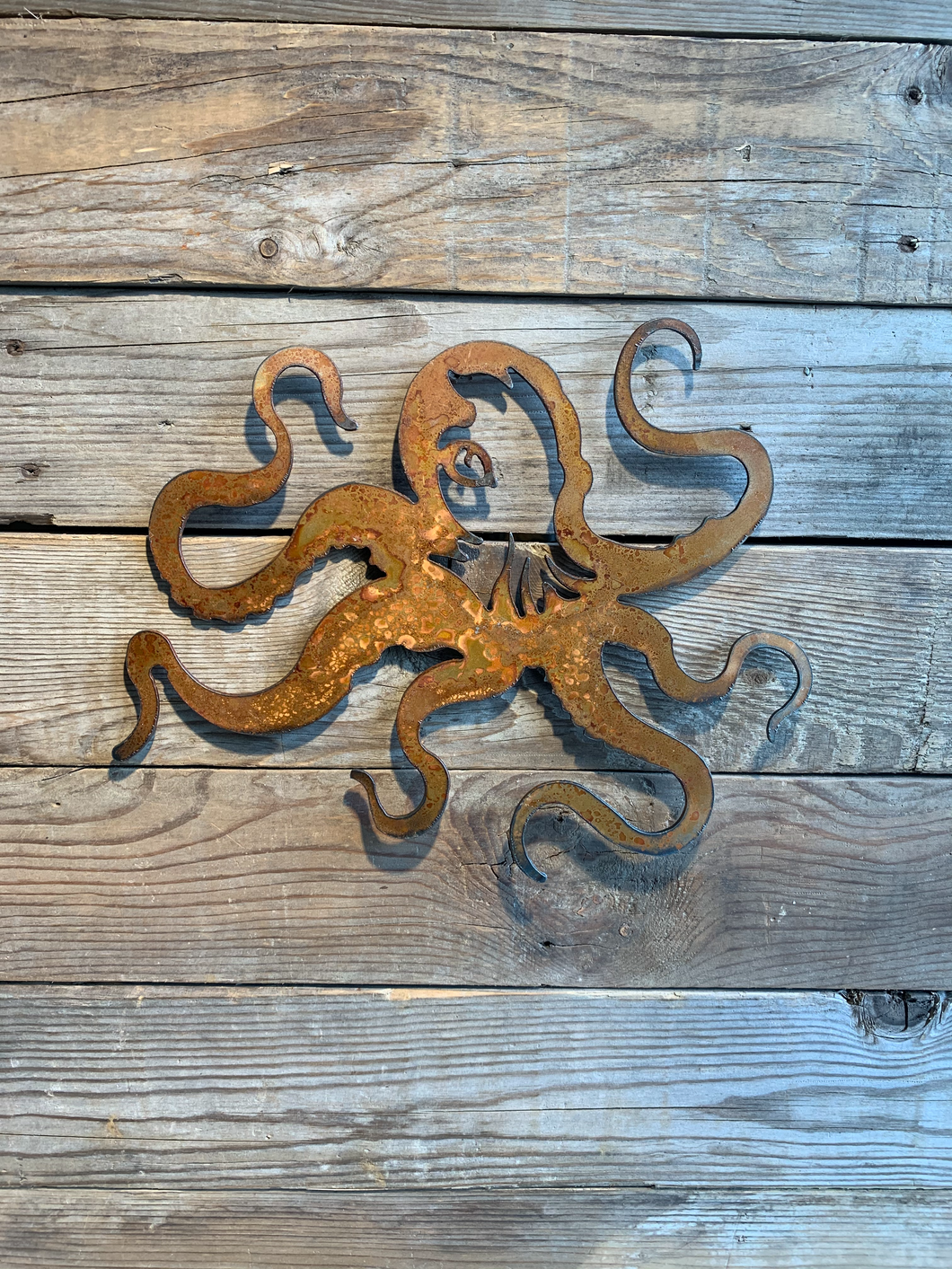 Octopus