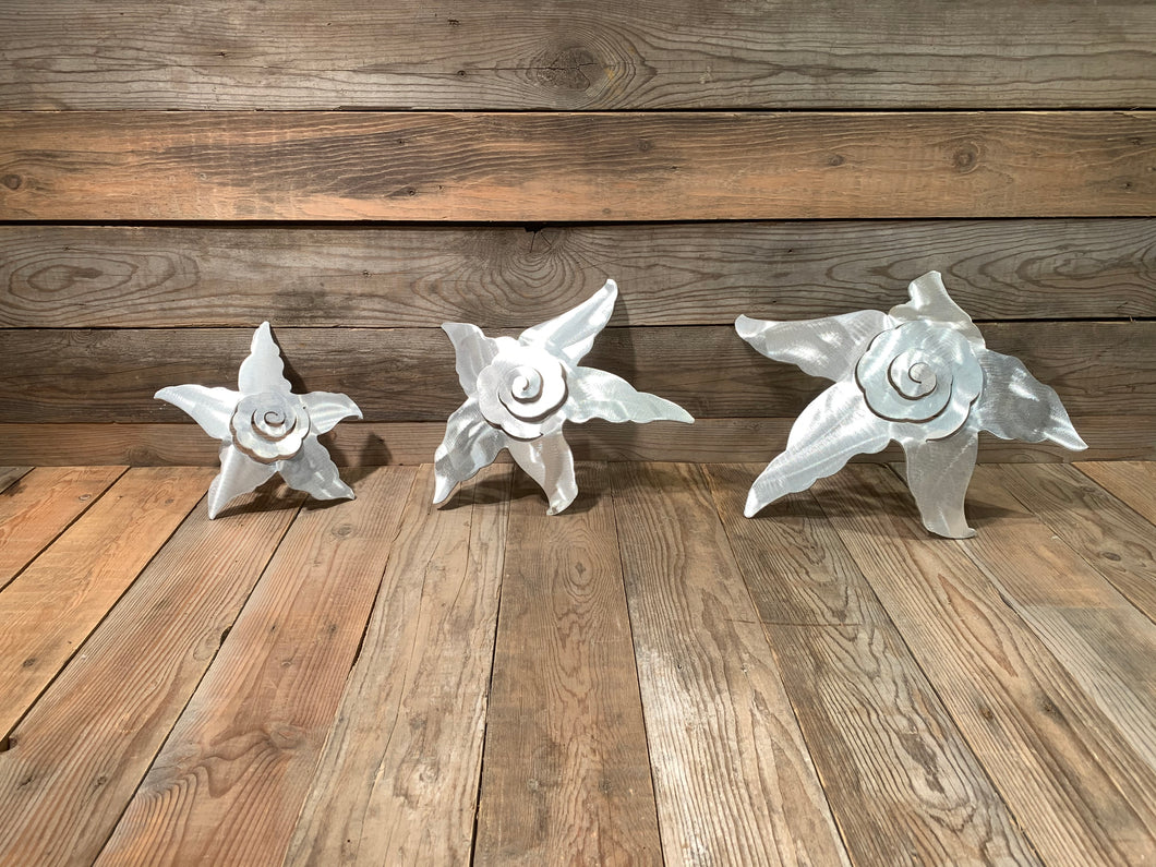 Starfish - Aluminum