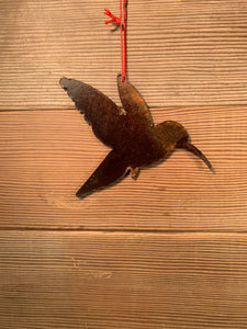 Hummingbird - Ornament