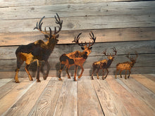 Load image into Gallery viewer, Elk - Stand Alone

