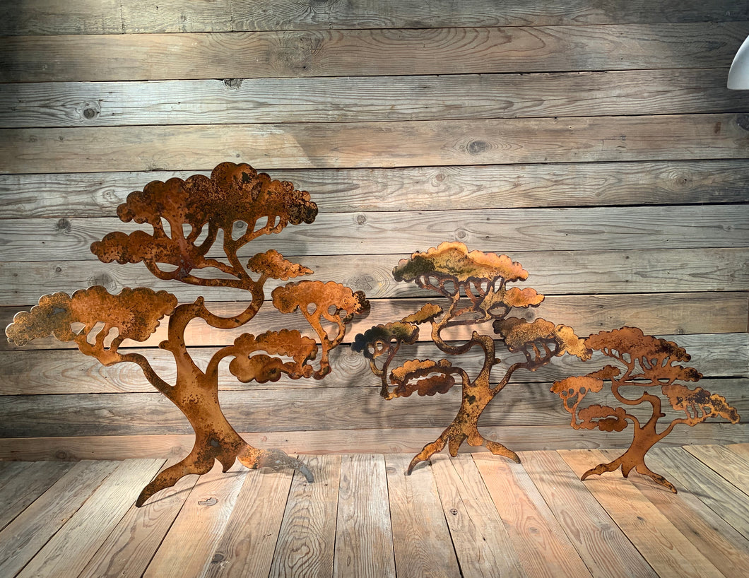 Arbutus Tree - Stand Alone