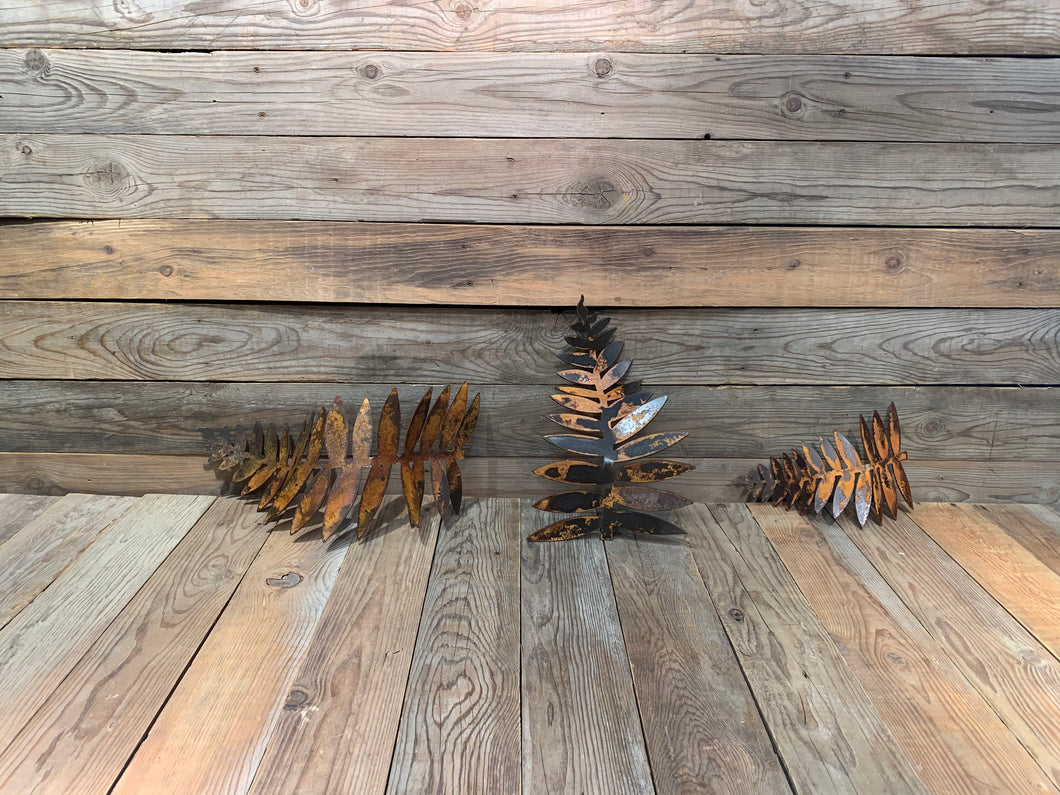 Fern - Display Piece